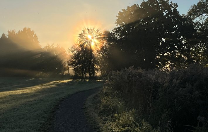 Volle Power beim Herbst-Wandertag