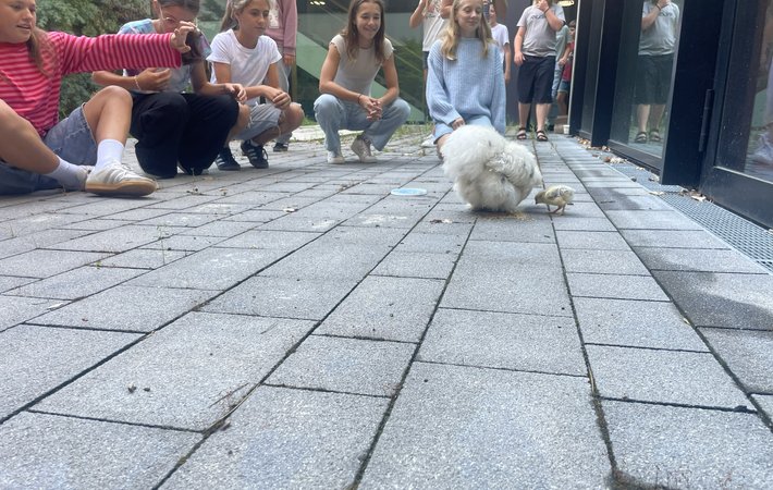 Tierischer Besuch zum Schuljahresende