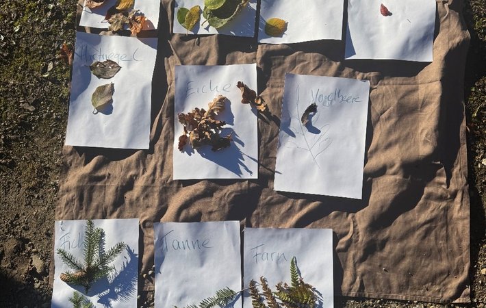 Die Waldbox zu Gast in Isny