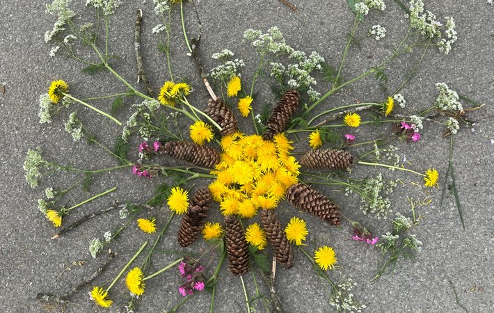 Bodenbilder im Rotmoos 