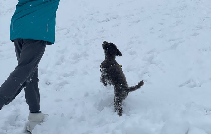 Unterricht und Spaß mit Emmi